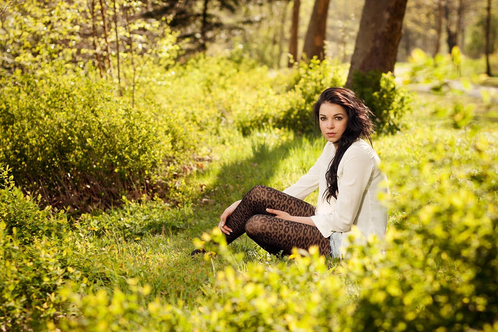 Foto zum Blogartikel - In Deep Woods