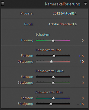 Foto zum Blogartikel - Tutorial – Hauttöne anpassen