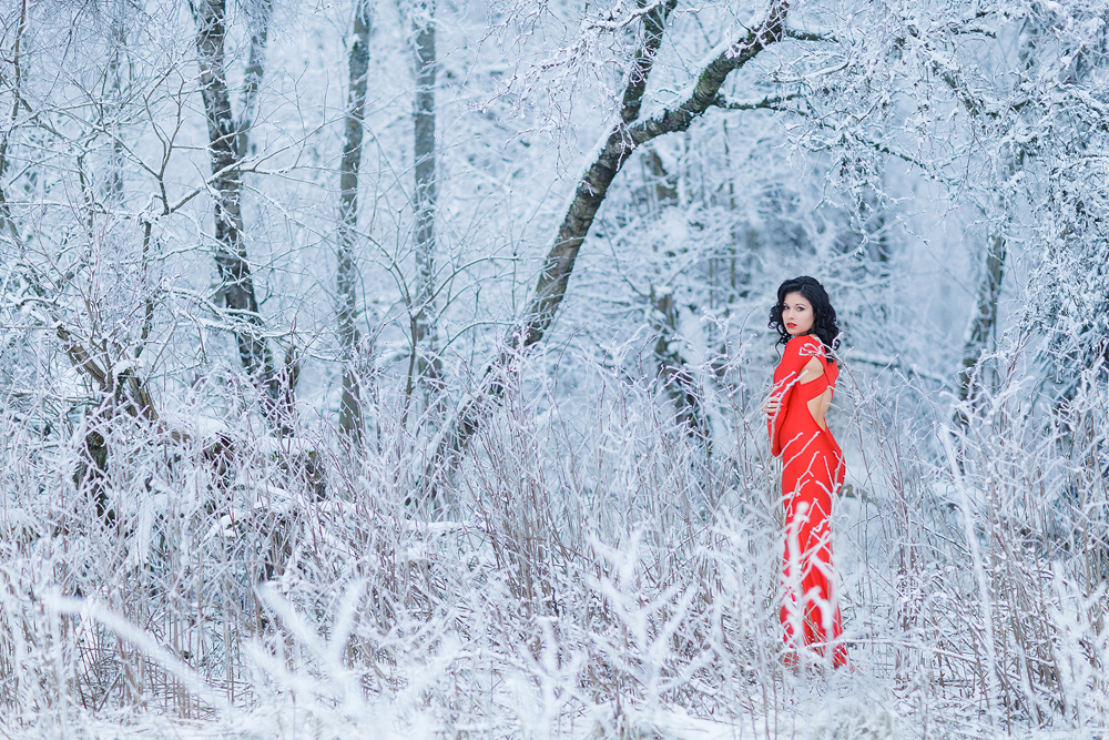 Foto zum Blogartikel - Rotes Kleid im Schnee