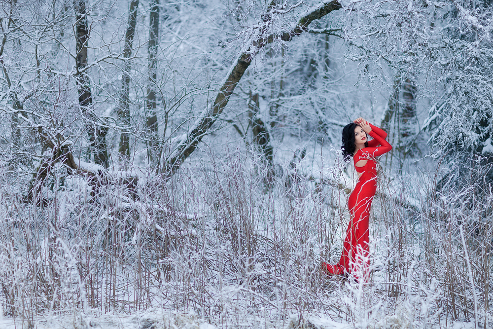Foto zum Blogartikel - Rotes Kleid im Schnee