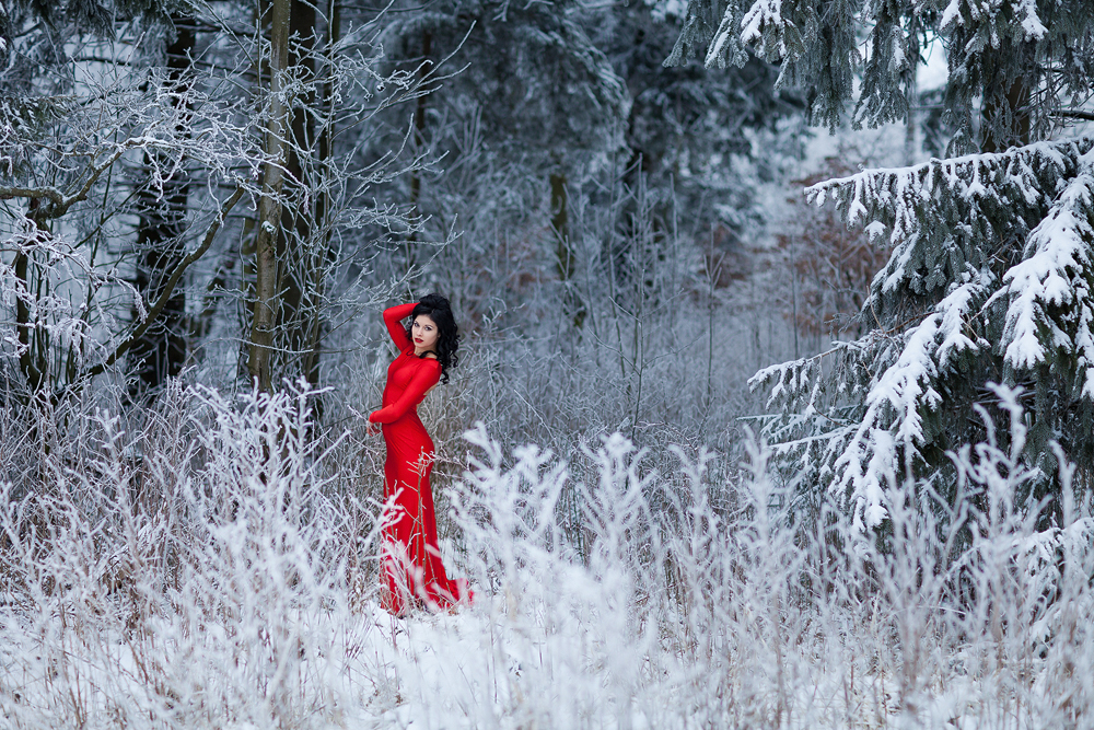 Rotes Kleid Im Schnee Ronny Lorenz Photography