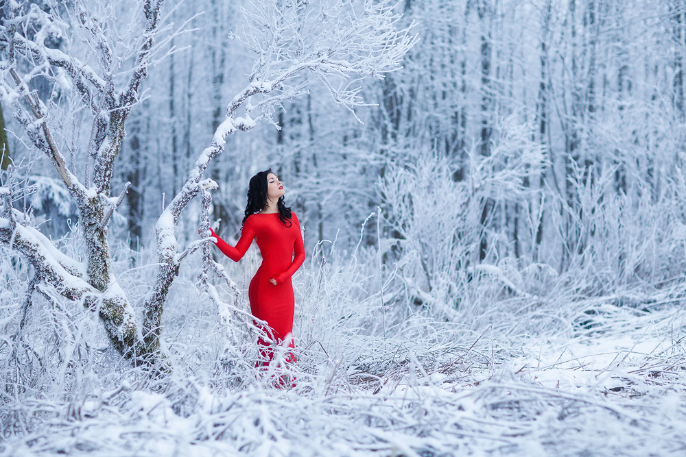 Foto zum Blogartikel - Rotes Kleid im Schnee