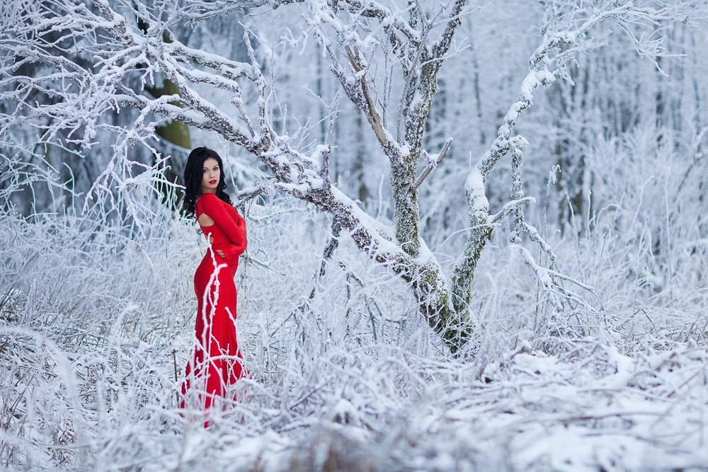 Foto zum Blogartikel - Rotes Kleid im Schnee