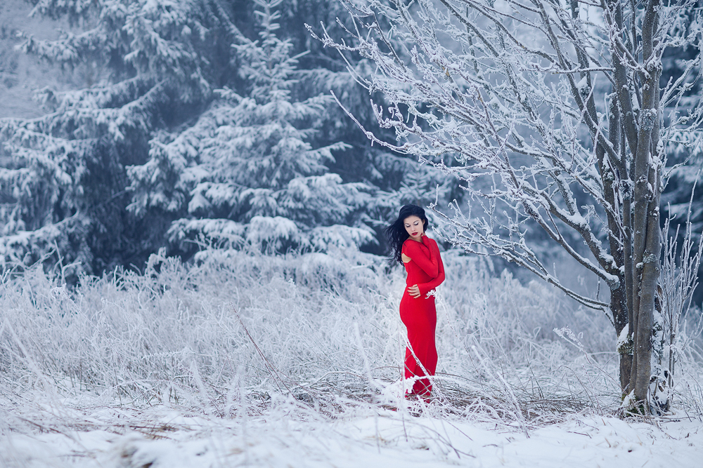 Rotes Kleid Im Schnee Ronny Lorenz Photography