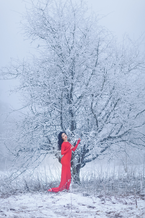 Foto zum Blogartikel - Rotes Kleid im Schnee
