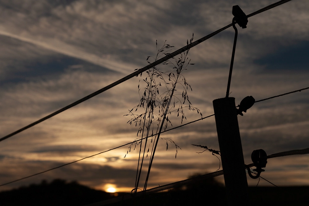 Sonnenuntergang am Geisküppel in Künzell