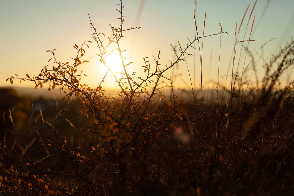 Sonnenuntergang am Geisküppel in Künzell