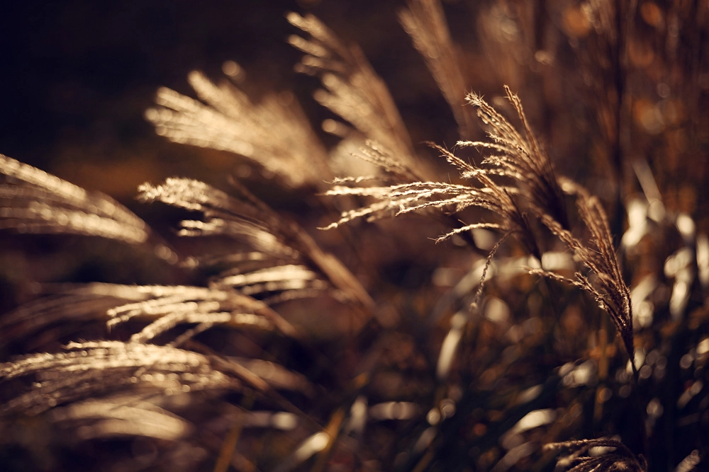 Herbstbilder aus der Region Fulda