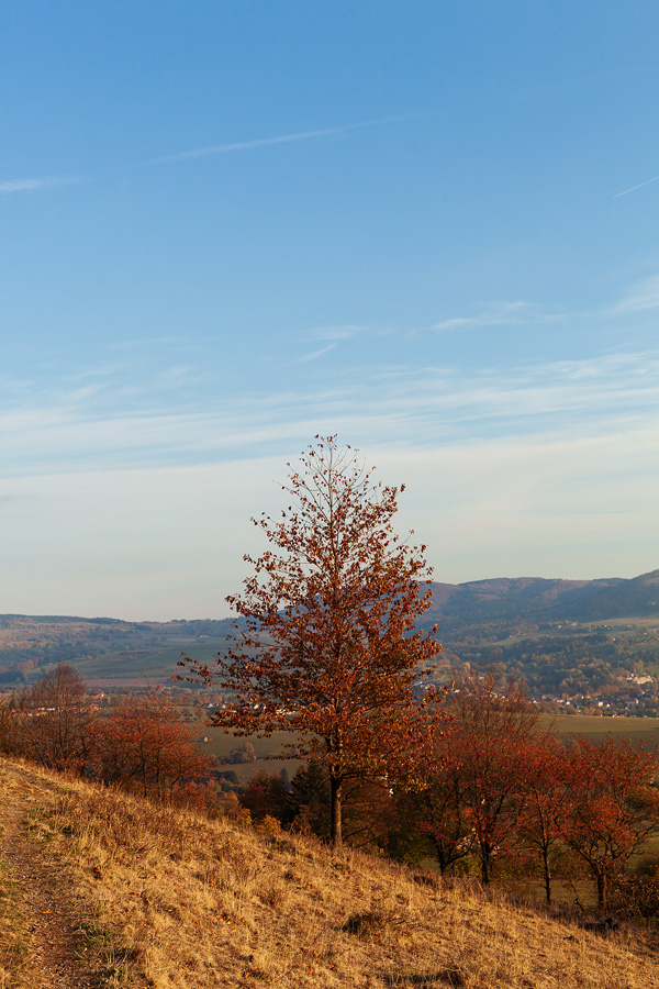 In der Rhön am Wachtküppel