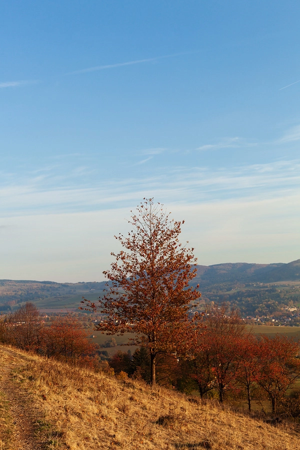 In der Rhön am Wachtküppel