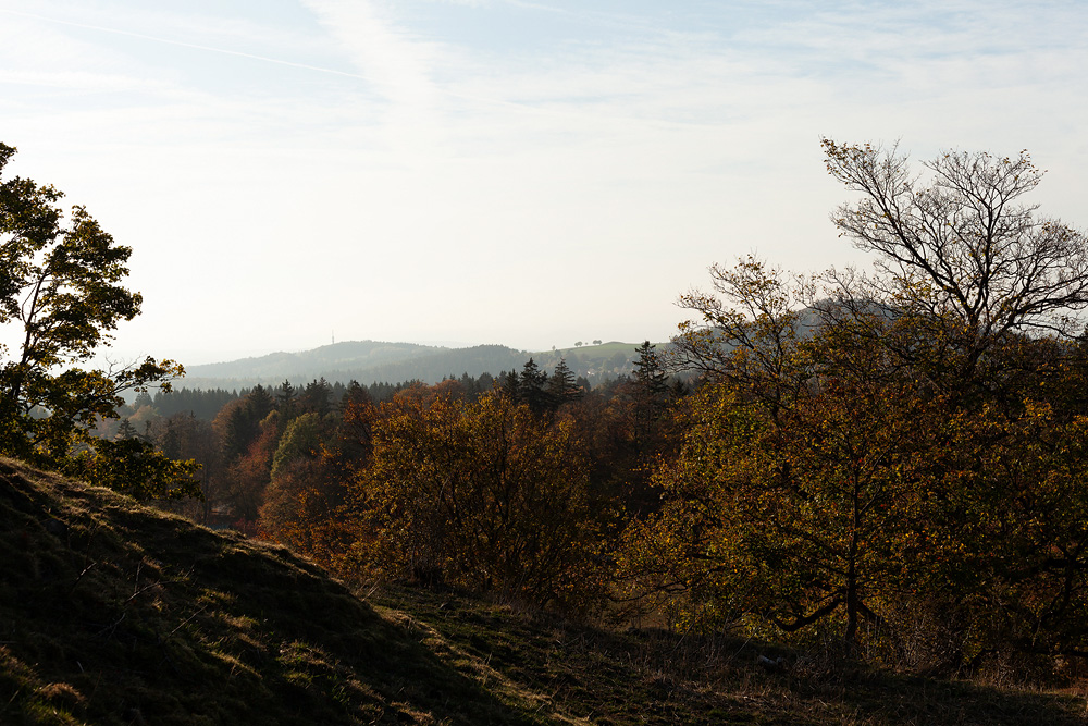 Herbstaufname in der Rhön