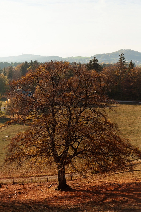 Herbstfoto in der Rhön