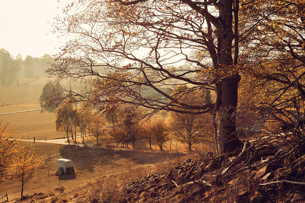 Am Wachtküppel in der Rhön