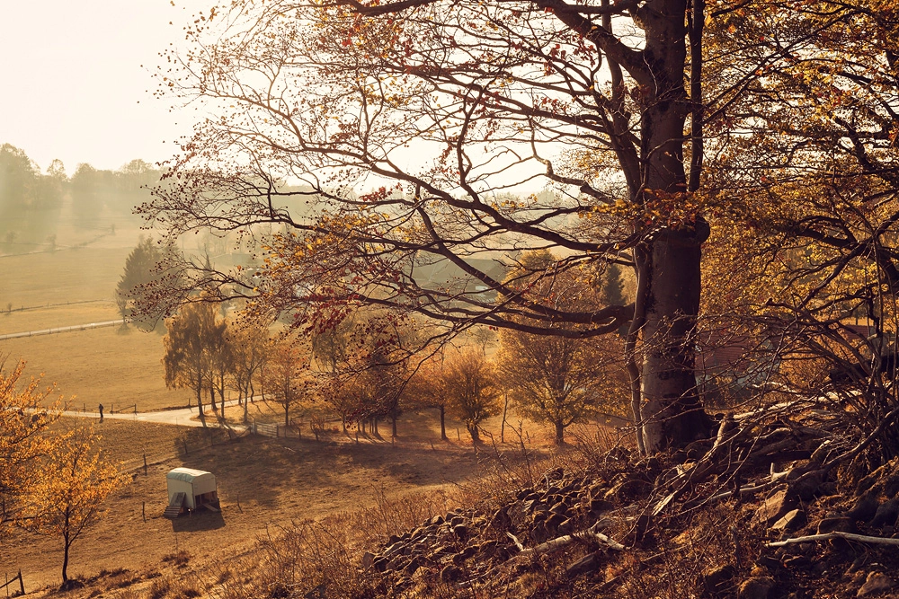 Am Wachtküppel in der Rhön