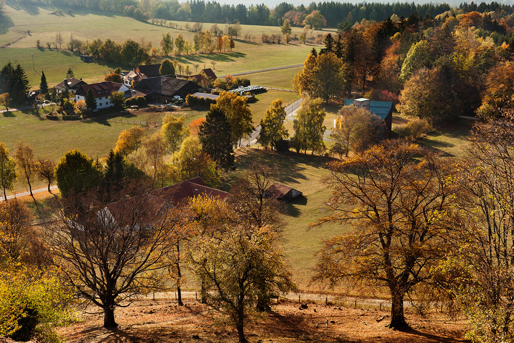 Herbstaufnahme vom Wachtküppel in der Rhön