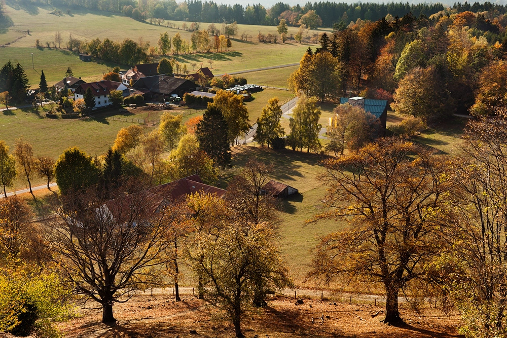 Herbstaufnahme vom Wachtküppel in der Rhön