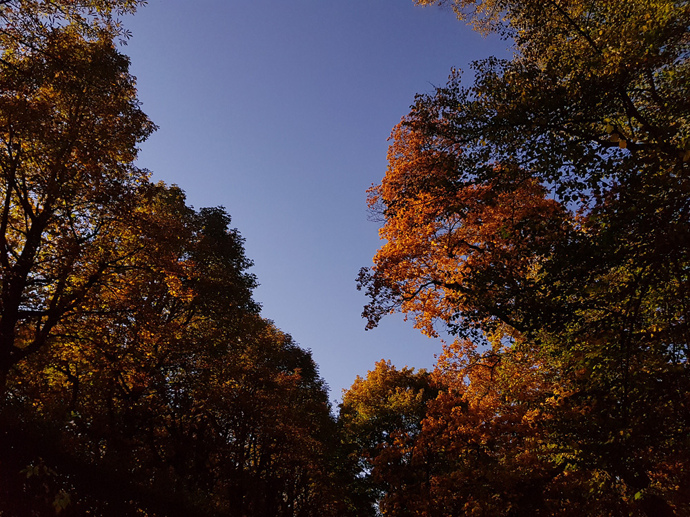 Fuldaer Schlosspark im Herbst